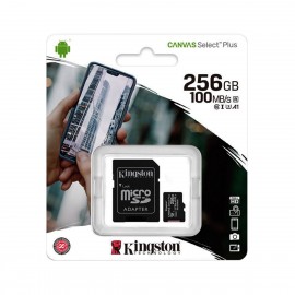 KINGSTON MICRO SD DE 256GB...